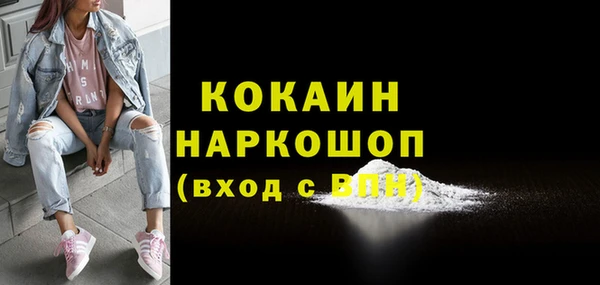 винт Няндома